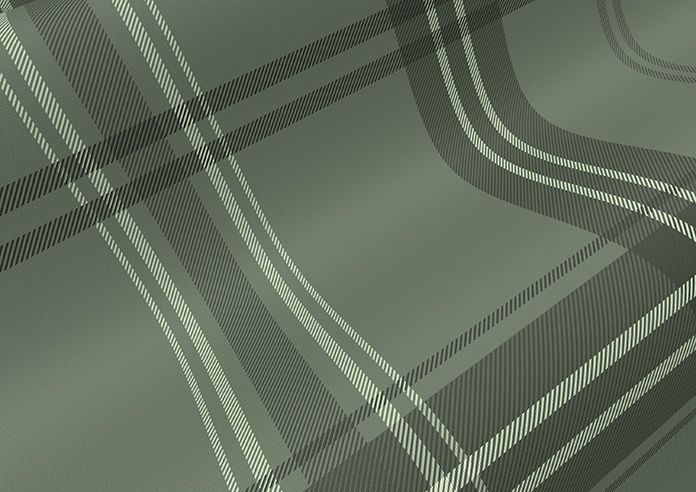 Falkirk, Green Heath - Roller Blind - Image 4